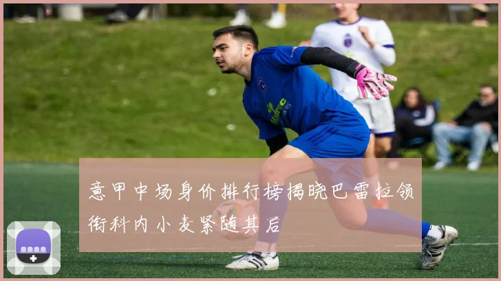 意甲中场身价排行榜揭晓巴雷拉领衔科内小麦紧随其后